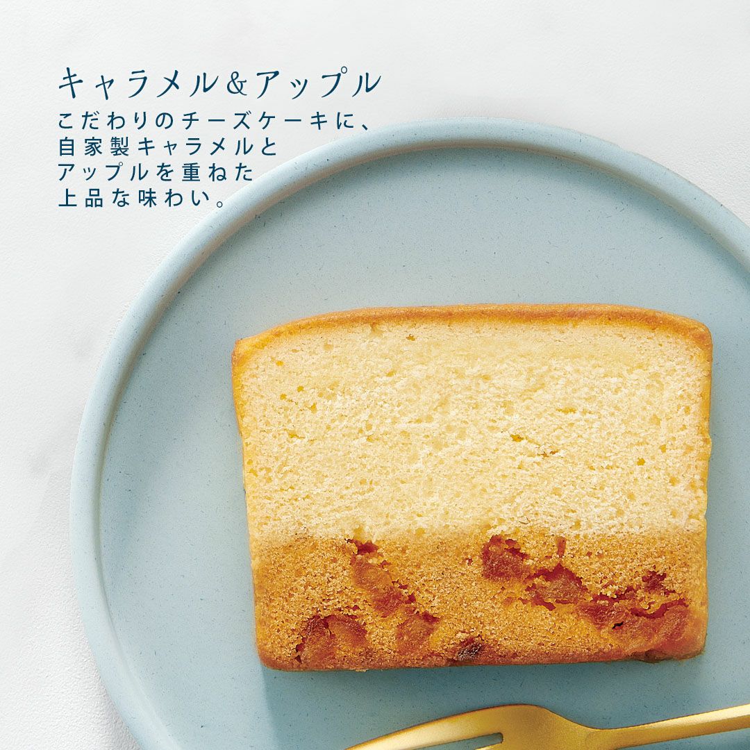 9号 果実と楽しむ しっとり濃厚チーズケーキ【果実と楽しむ しっとり