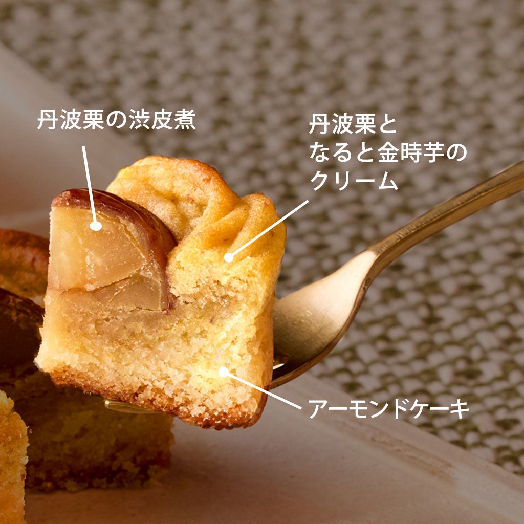 丹波栗の焼きモンブラン 9個入