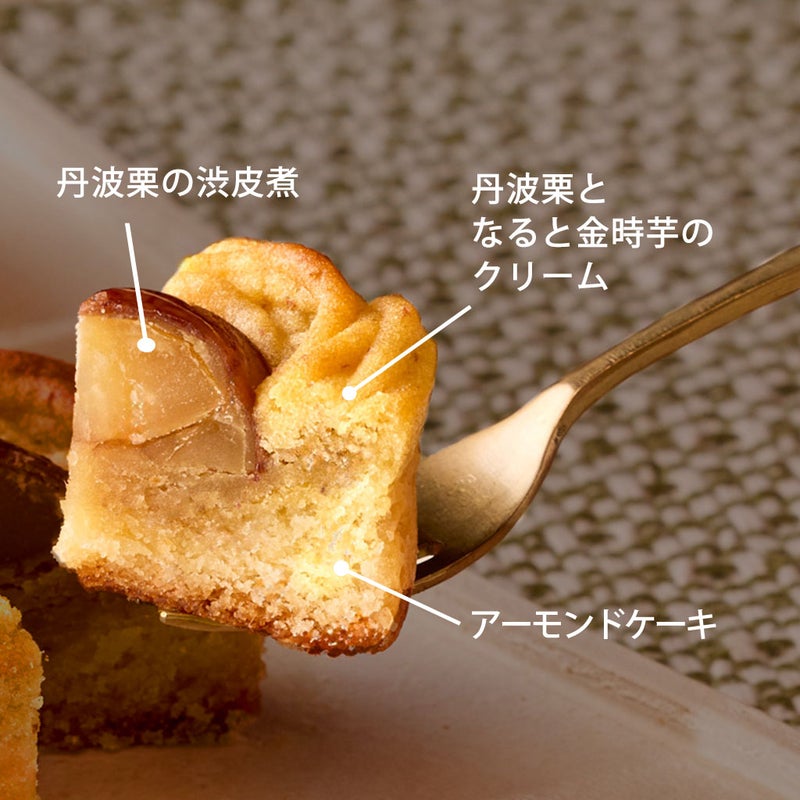 丹波栗の焼きモンブラン 9個入